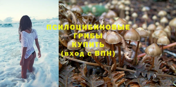 молекула духа Аркадак