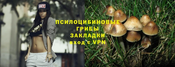 молекула духа Аркадак