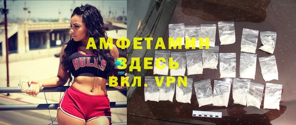 гашик Бородино